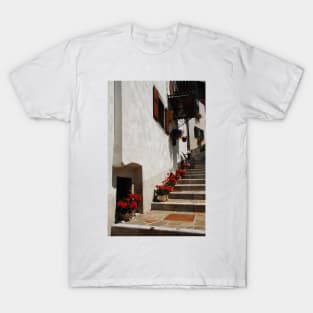 Geraniums on Stepped Street T-Shirt